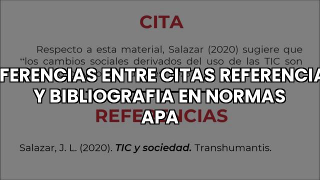 Diferencias Entre Citas Referencias Y Bibliografia En Normas Apa